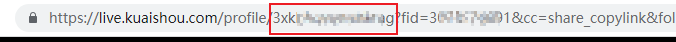 kuaishou-web.png